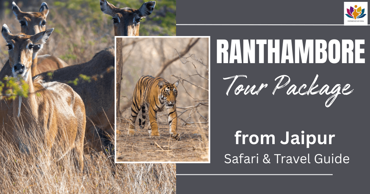 Ranthambore Tour Package from Jaipur